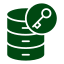 database symbol with key