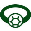 dark green jeweled ring icon