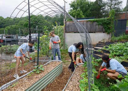 Students working in a garden